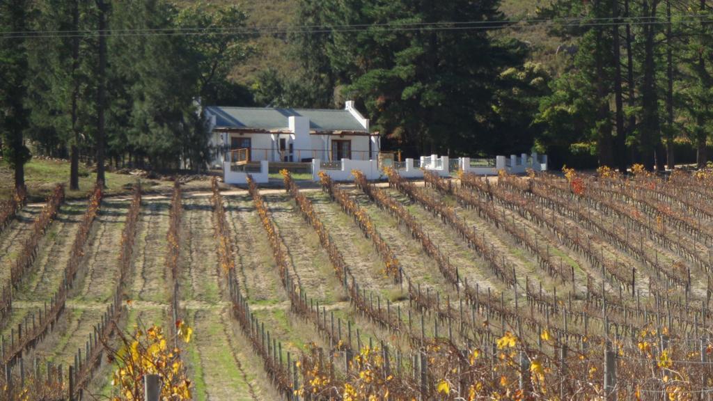 Topiary Wine Estate & Cottages Franschhoek Room photo