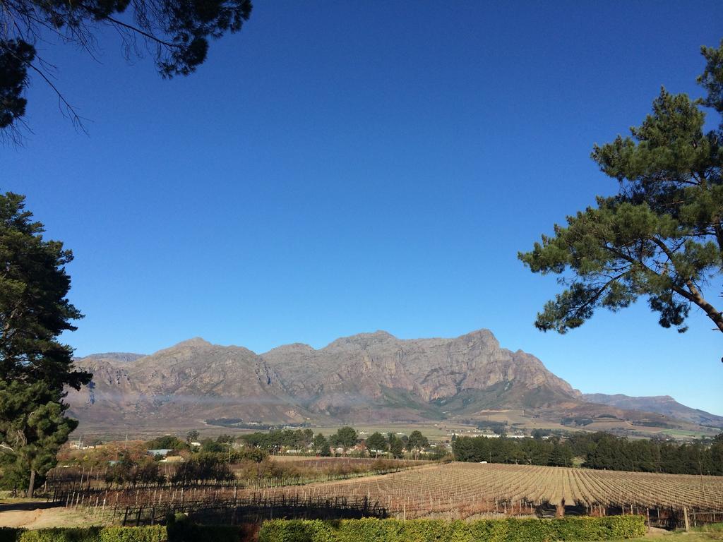 Topiary Wine Estate & Cottages Franschhoek Room photo