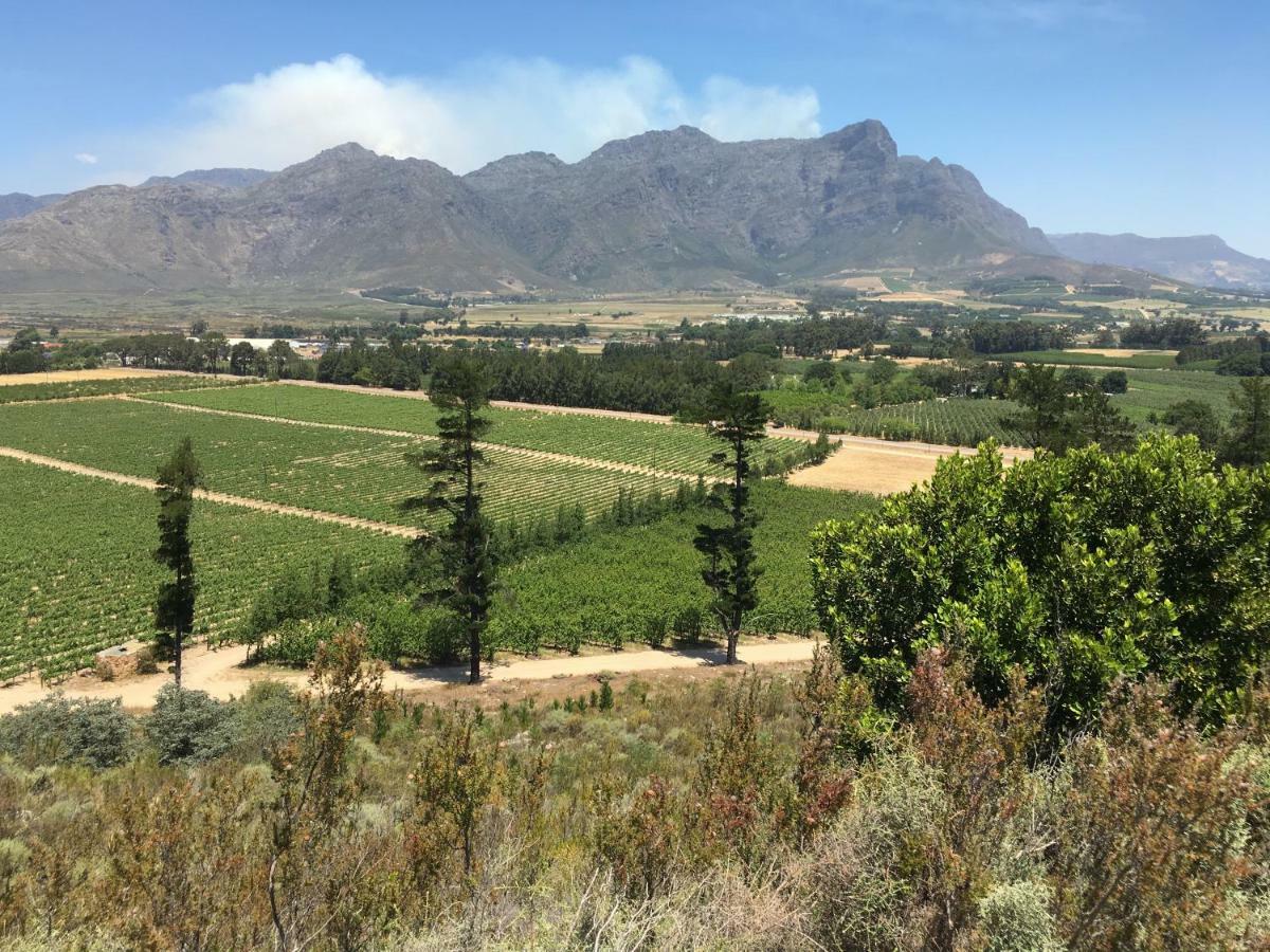 Topiary Wine Estate & Cottages Franschhoek Exterior photo